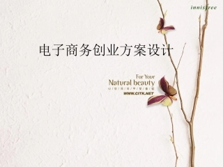 电子商务创业方案设计