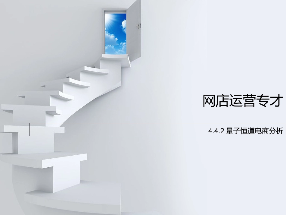 电子商务数据分析_第1页