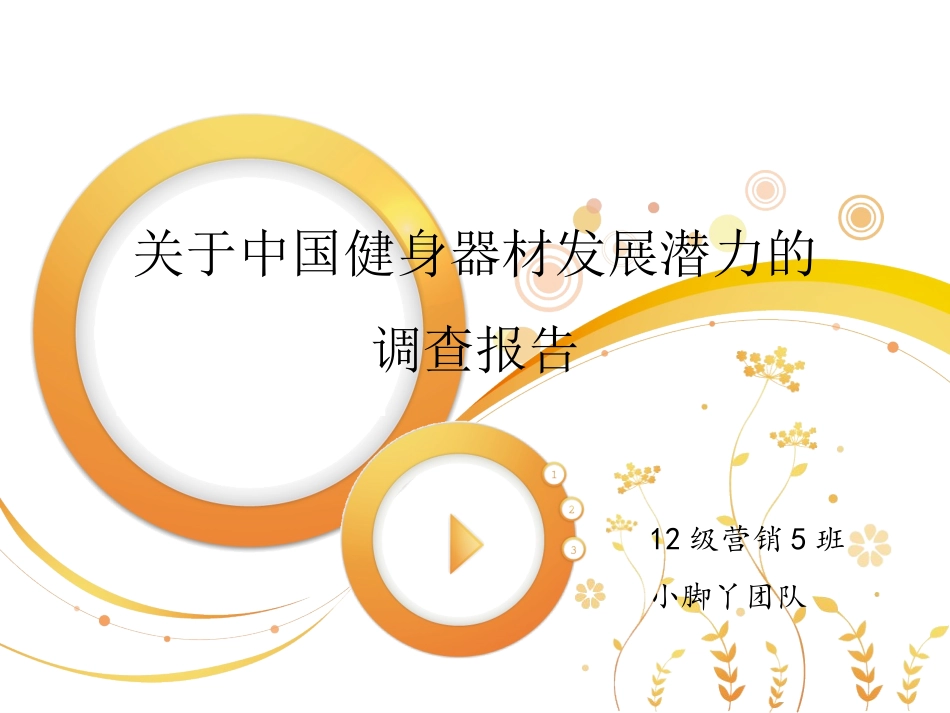 调查报告展示最终版_第1页