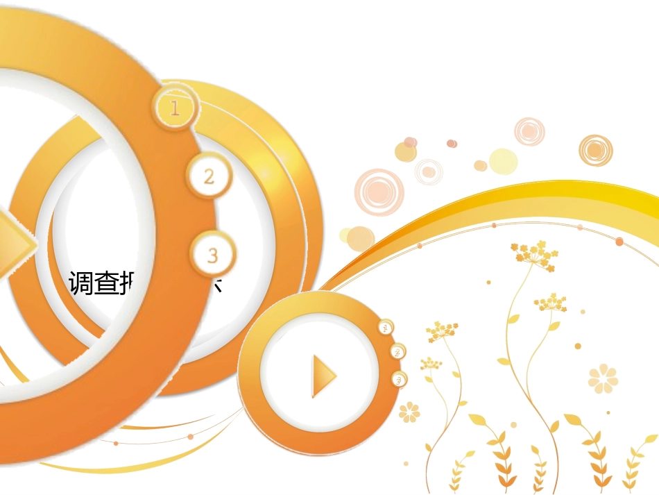 调查报告展示最终版_第2页