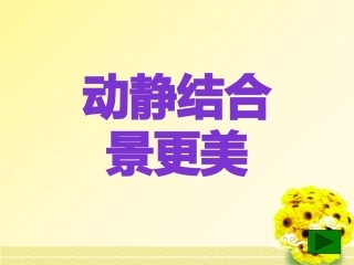 动静结合写景景更美