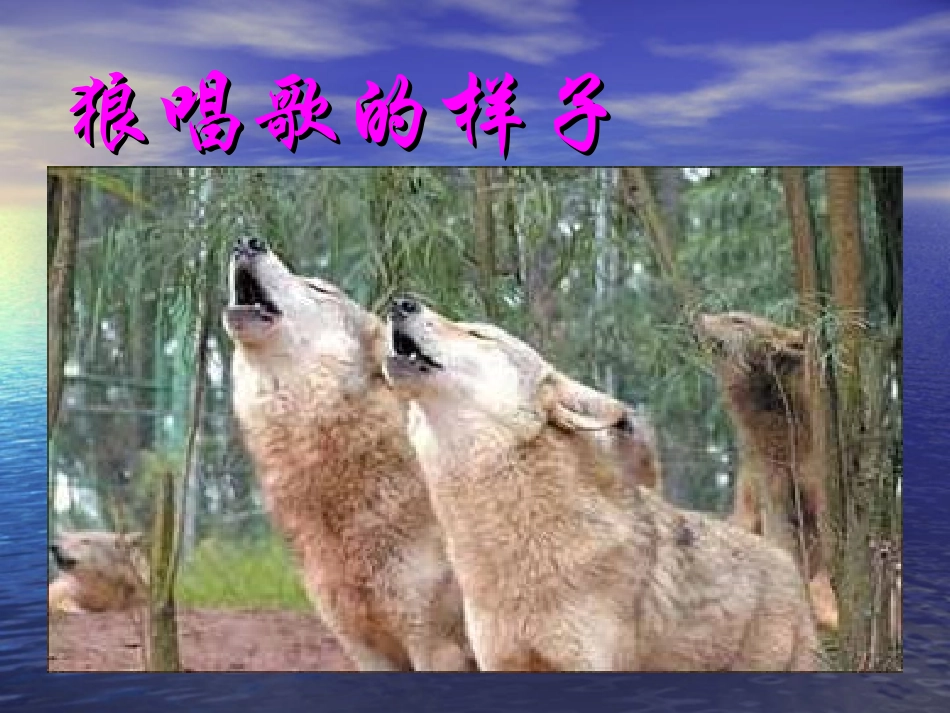 动物唱歌的模样课件_第3页