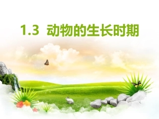 动物的生长时期