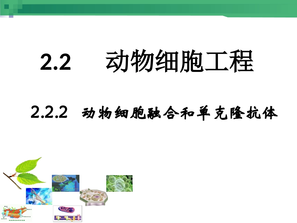 动物细胞融合和单克隆抗体的制备_第2页