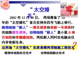 动物细胞融合和单克隆抗体的制备