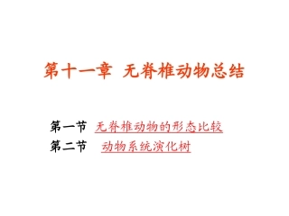 动物学无脊椎无脊椎动物总结