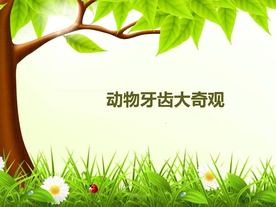 动物牙齿大奇观课资内容_第1页