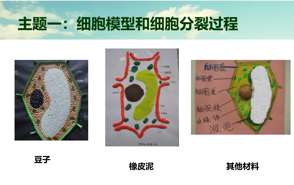 动植物细胞模型制作_第2页