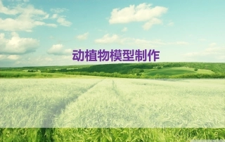 动植物细胞模型制作