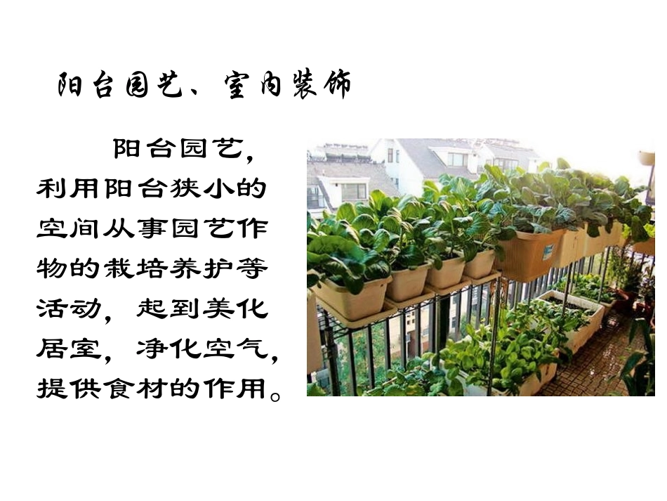 都市园艺岳钉伊_第3页