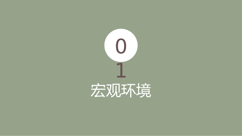 杜蕾斯市场分析_第3页