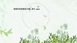 度假村招商策划方案图文