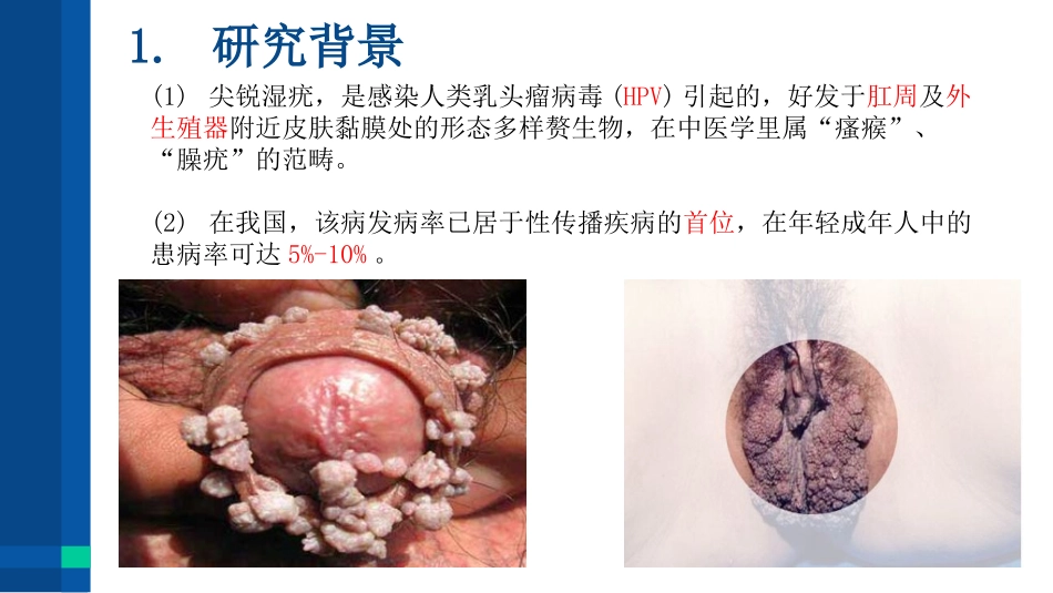 段誉娇毕业论文答辩_第3页