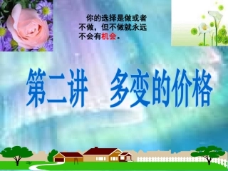 多变的价格课件