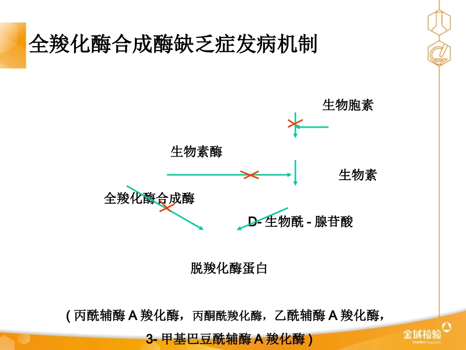 多种酰基辅酶A羧化酶缺乏症精品医学_第2页