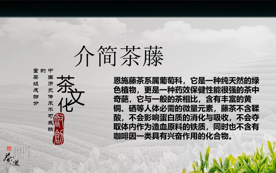 恩施藤茶市场分析_第3页