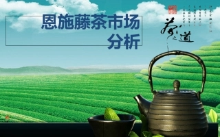 恩施藤茶市场分析