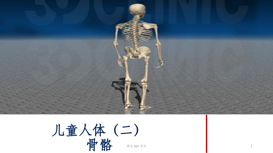 儿童科普骨骼课件_第1页