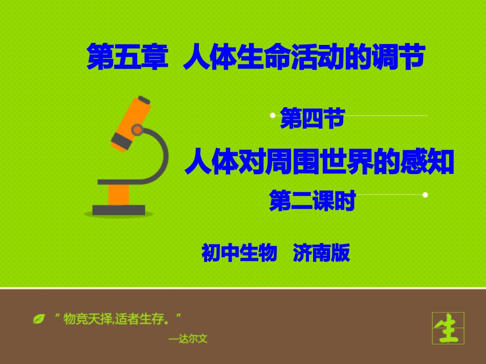 耳朵的结构课件_第1页