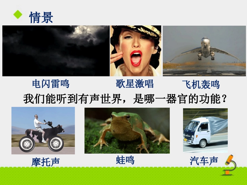 耳朵的结构课件_第2页