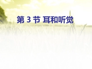 耳和听觉优秀课件