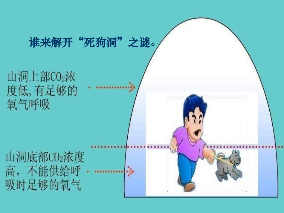 二氧化碳和一氧化碳_第3页