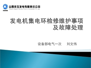发电机集电环检修维护事项及故障处分解