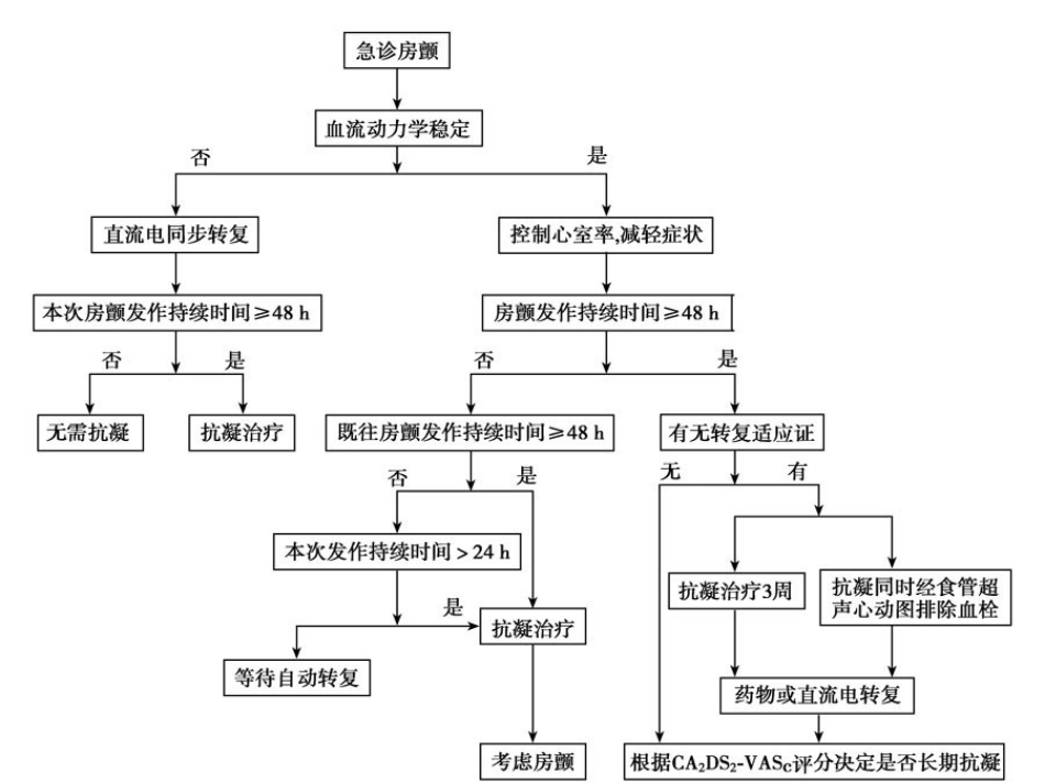 房颤的急诊处置要点_第3页