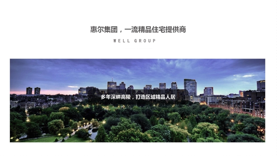 房地产项目策划案_第1页