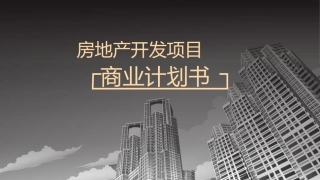 房地产项目开发商业计划书