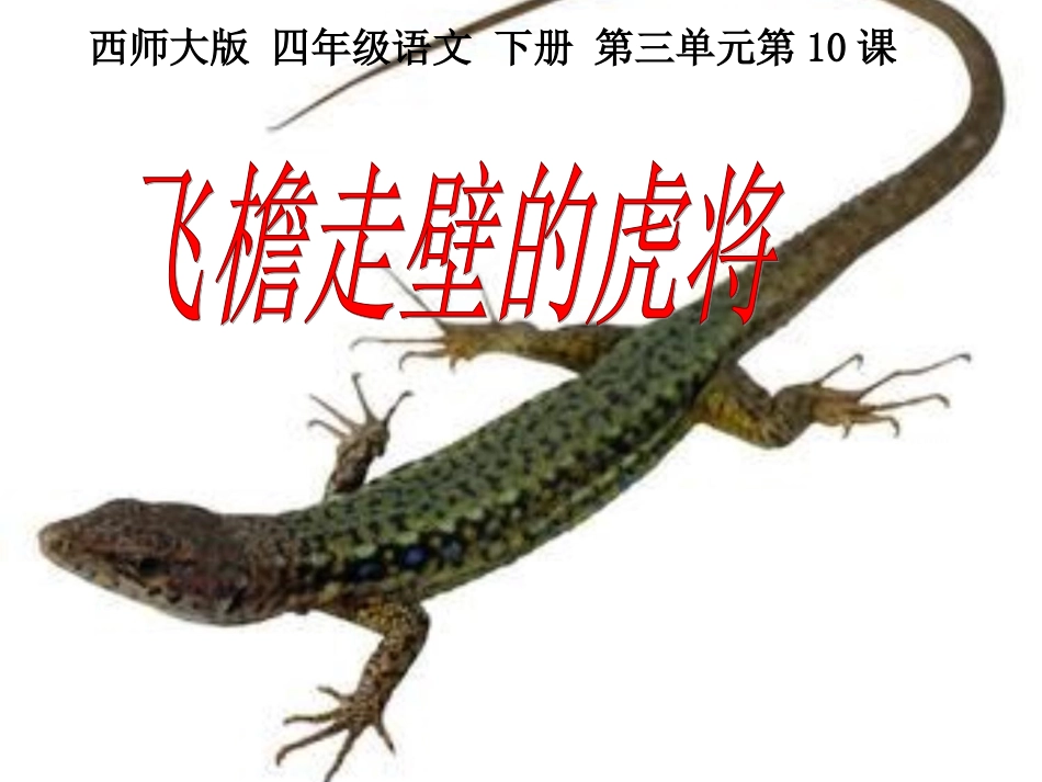 飞檐走壁的虎将课件_第1页