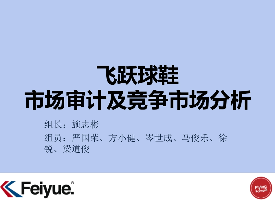 飞跃球鞋市场审计与竞争市场分析_第1页