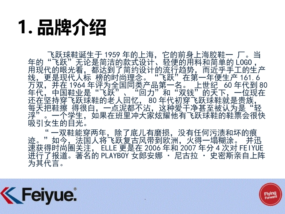 飞跃球鞋市场审计与竞争市场分析_第3页
