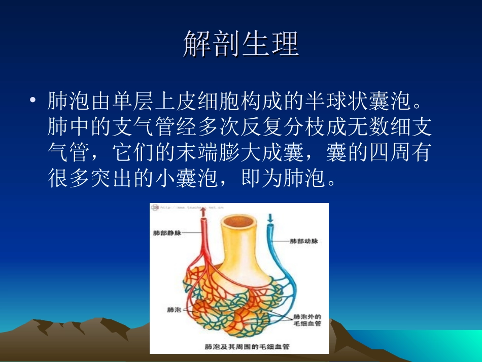 肺大泡诊治详解_第2页