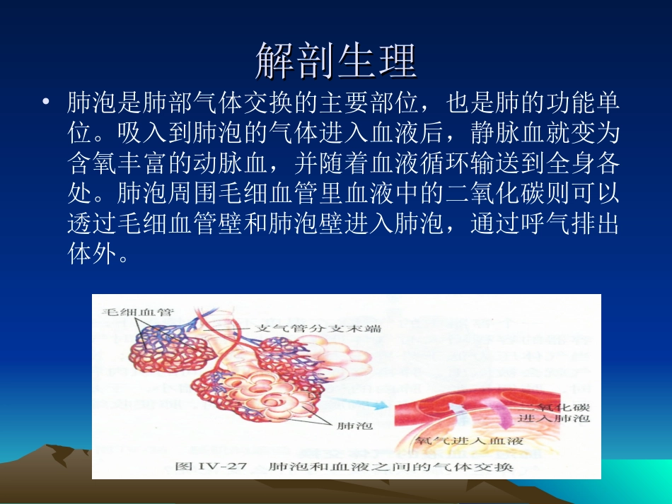肺大泡诊治详解_第3页