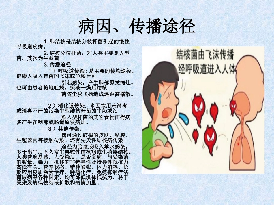 肺结核的护理_第2页