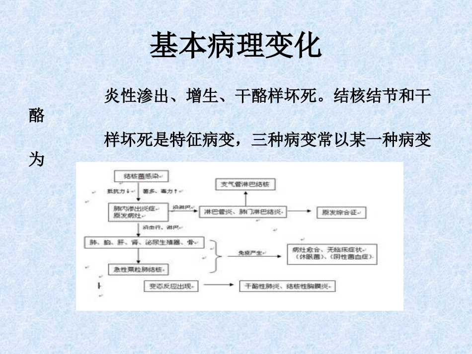 肺结核的护理_第3页