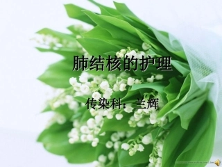 肺结核的护理