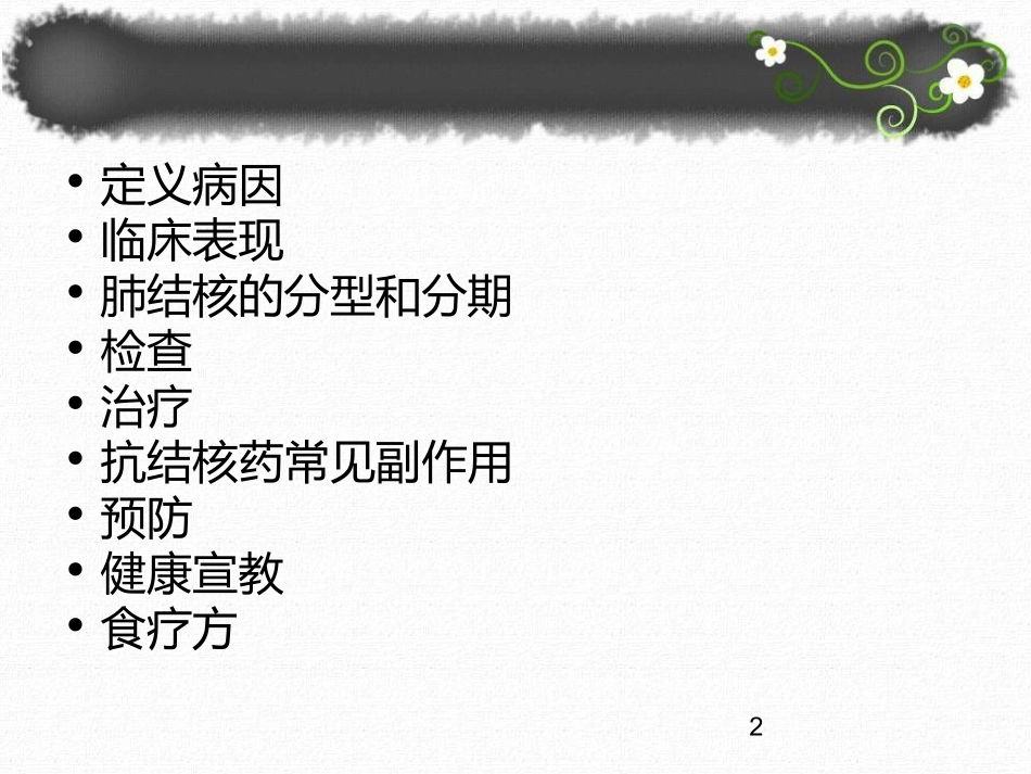 肺结核的护理课件_第2页