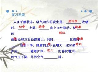肺泡和血液的气体交换