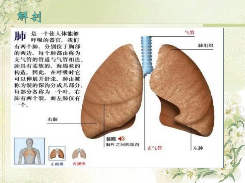 肺叶切除术手术配合_第3页