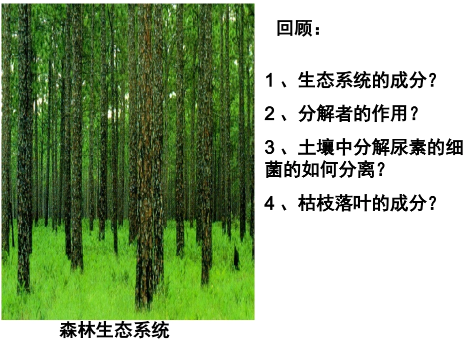 分解纤维素的微生物_第1页