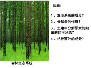 分解纤维素的微生物