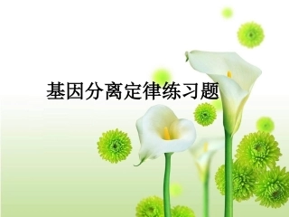 分离定律练习题