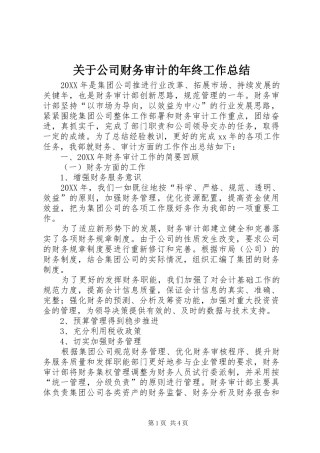 关于公司财务审计的年终工作总结