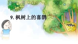 枫树上的喜鹊