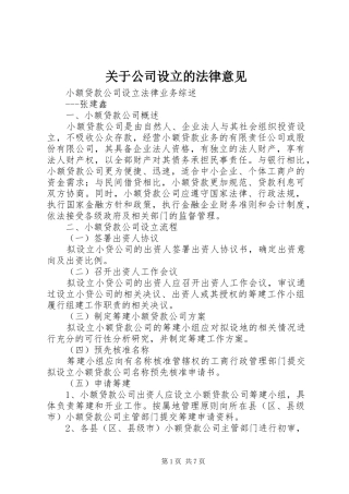 关于公司设立的法律意见