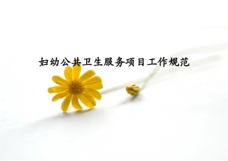妇幼公共卫生服务项目工作规范