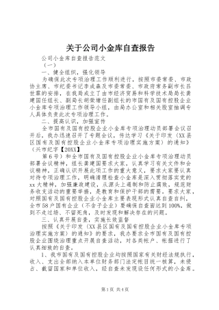 关于公司小金库自查报告