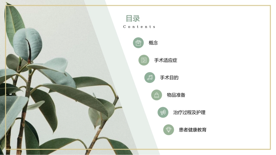 复合树脂修复术的护理要点宣教课件_第2页